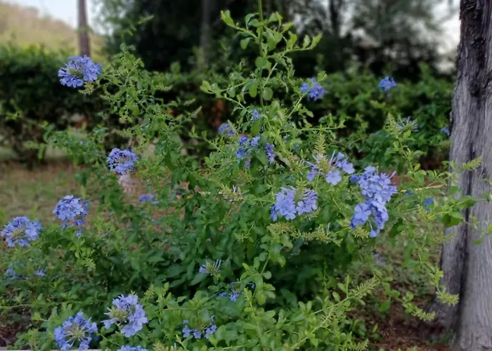 Boomerang Hotel La Massimina-Casal Lumbroso